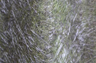 East Leake fibreglass roof work